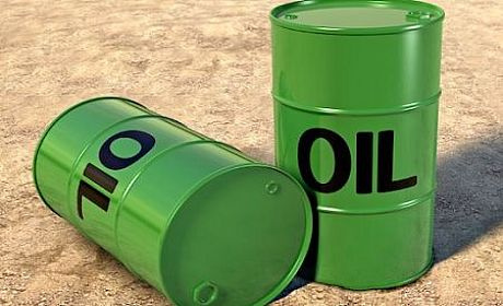 No One Can Determine the Oil Price