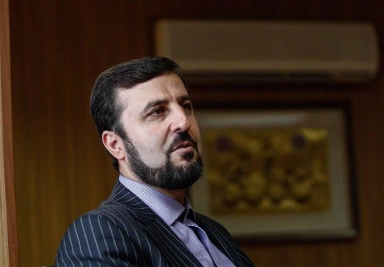 Iran urges IAEA to clarify position on Fakhrizadeh assassination Politicshttps://www.tehrantimes.com/