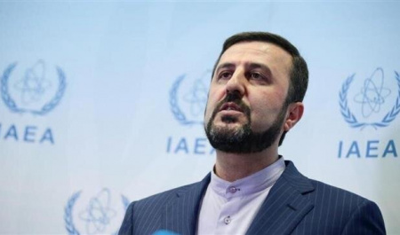 Envoy criticizes IAEA chief over remarks on Iran nuclear program