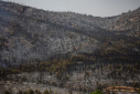 آتش سوزی جنگل های کاتالونیای اسپانیا را ویران کرد
