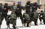 پیشنهاد امریکایی‌ها به کردها و سنی‌ها برای مبارزه با داعش