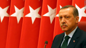 اردوغان به آرزوی دیکتاتوری نمی‌رسد