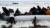 شراره های تازه بحران مهاجرت در اروپا