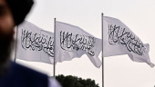 طالبان در آستانه تثبیت، اما با مشروعیت شکننده