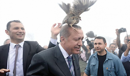 ترکیه در برزخ سیاسی