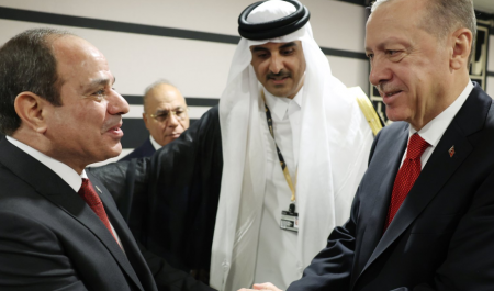 دیدار گذرا اما مهم اردوغان و السیسی