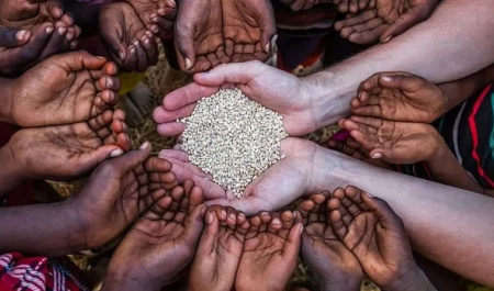 غذای سالم؛ حلقه مفقوده امنیت غذایی جهان